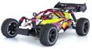 MHD Buggy ATOM Roller Cage 1/10